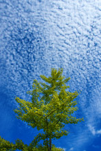 Image 05